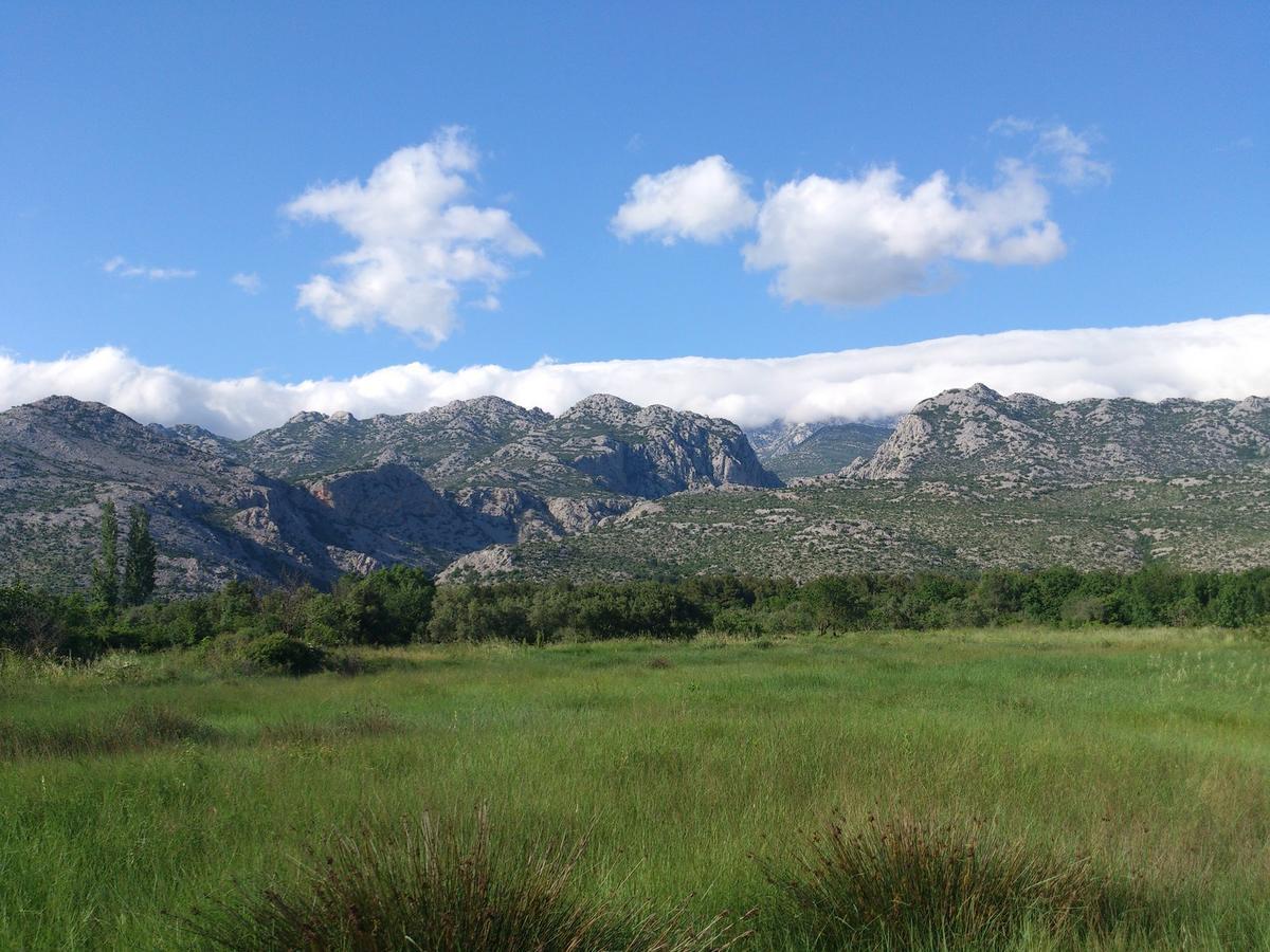 Amari Appartement Starigrad Paklenica Buitenkant foto